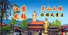 社黄大鸡八江苏无锡灵山大佛旅游风景区